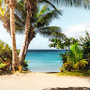 Meet your Posher, Maddie